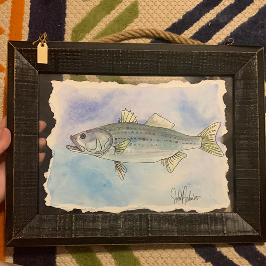 8”x10” striped bass